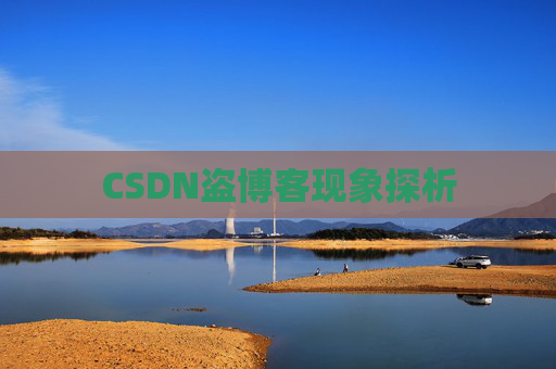CSDN盗博客现象探析 CSDN盗博客现象探析
